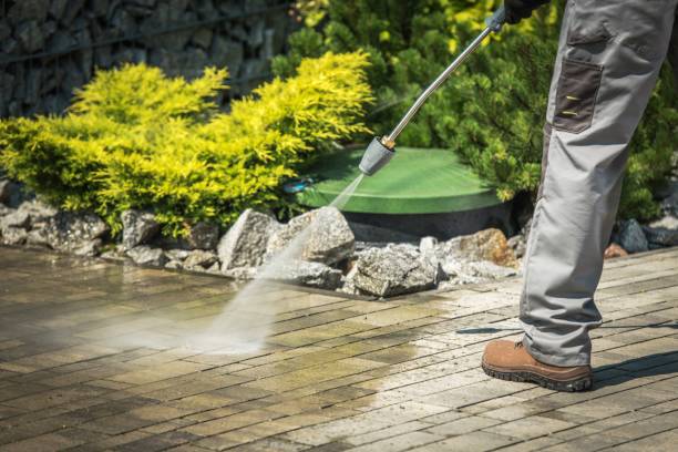 Best Oil Spill Cleanup  in Belleville, MI