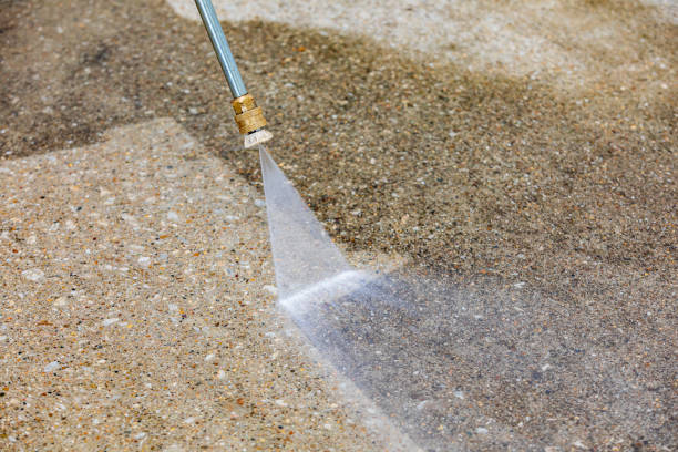 Best Pool Deck Cleaning  in Belleville, MI