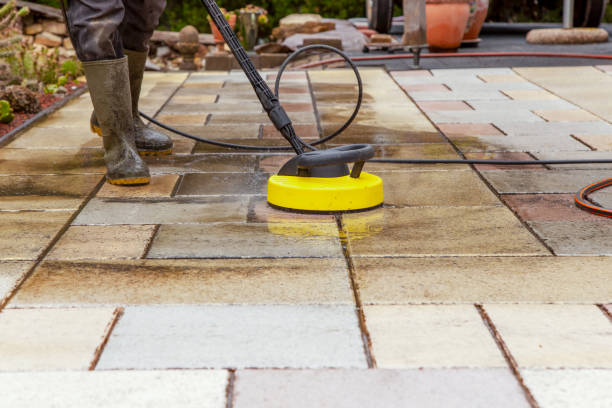 Animal Enclosure Cleaning in Belleville, MI