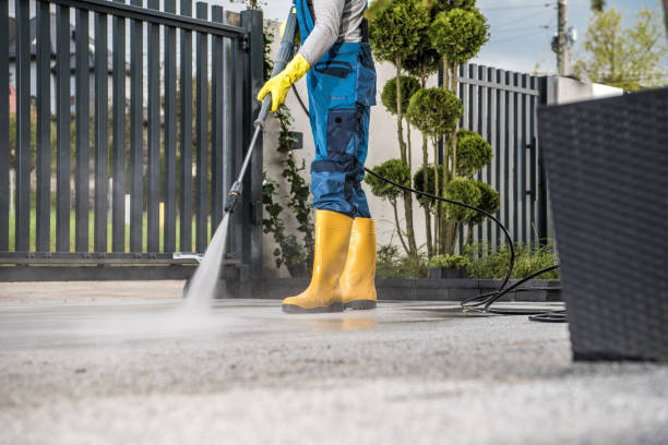 Best Sidewalk and Walkway Cleaning  in Belleville, MI